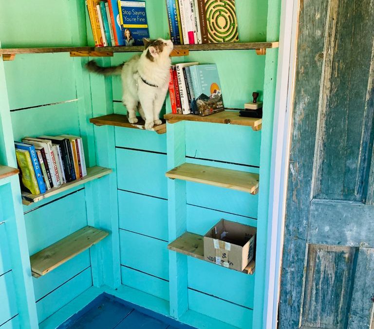 The Little Free Library — Take One! Share One!