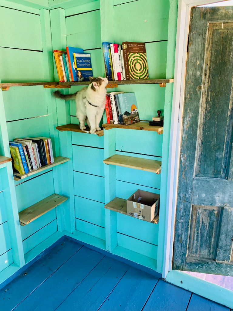 Mowgli Loves the Library